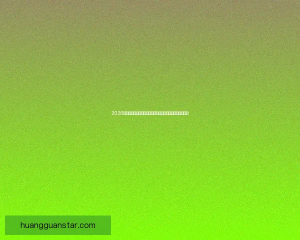 2026世界杯竞猜全攻略精准分析投注技巧与冷门趋势深度解读版